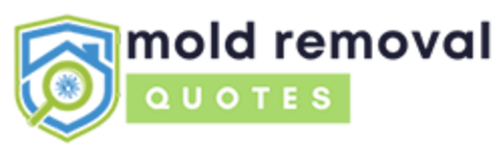 mold removal lakeland fl